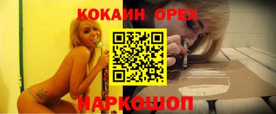 сатива Кандалакша
