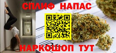 сатива Кандалакша