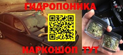 PSILOCYBIN Камышлов