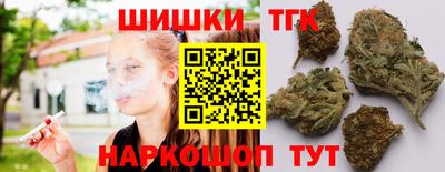 сатива Кандалакша