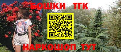 сатива Кандалакша