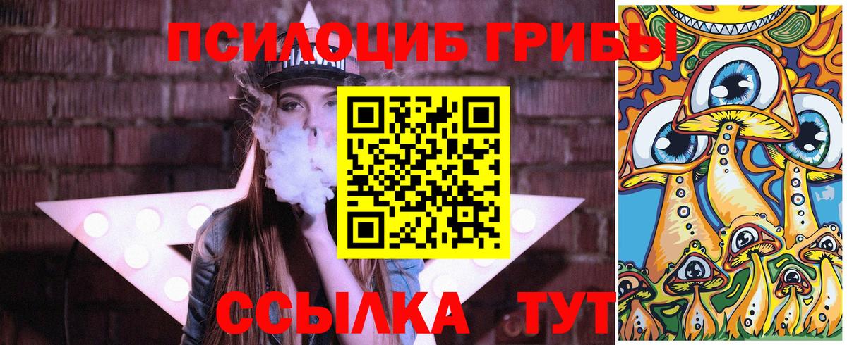 Галлюциногенные грибы Cubensis Кувандык
